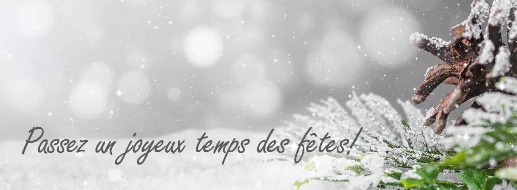 Neige, branche et pomme de pin - Passez un joyeux temps des fêtes